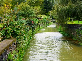 Rivière froide Ribeira Amarela dans la ville de Furnas sur l'île de Sao Miguel dans l'archipel des Açores au Portugal. Europe