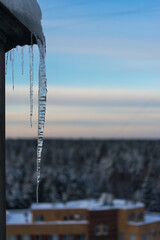 Icicle hangs on the roof against the background of a winter city landscape and a forest horizon at dawn in the morning