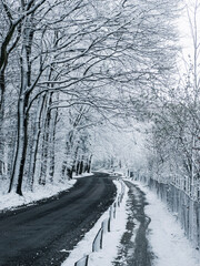 road in winter