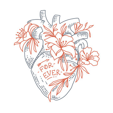Anatomical heart with flowers trendy minimalist illustration. Love forever. Minimalist Valentine's day cover. Vector illustration