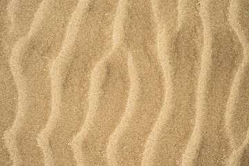 Fototapeta na wymiar Segni a forma di onda sulla sabbia formati dal vento