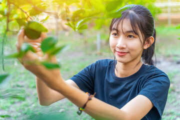 Cute Asian Girl Smile in front of camera, Girl taking her Green Lemon 