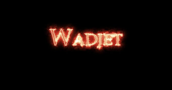 Wadjet, ancient egyptian goddess, written with fire. Loop