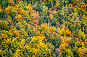 Autumn colors at the mountains