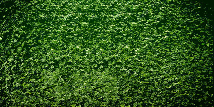 background green wall of plants