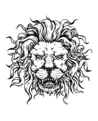 head of lion drawing illustration transparent background 