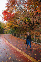 Fototapeta premium Person at Park in Seoul South Korea