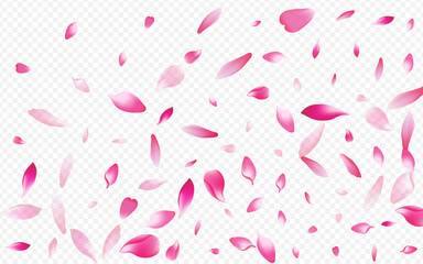 Light Rose Vector Transparent Background. Blossom