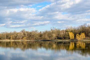 Landscape with large old trees near Herastrau lake in King Michael I Park (Herastrau) in Bucharest, Romania, in a sunny winter day