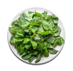 Fresh mint leaves on a plate. Transparent background