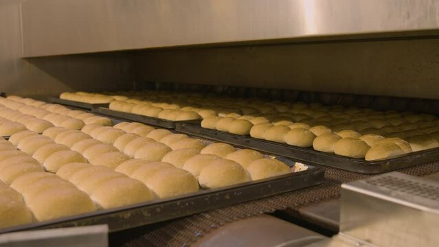 Trays of bread buns rolling out of the oven