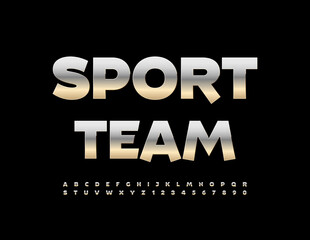 Vector steel emblem Sport Team. Modern Silver Font. Creative Alphabet Letters and Numbers set