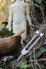 acupuncture  et sonoth&eacute;rapie