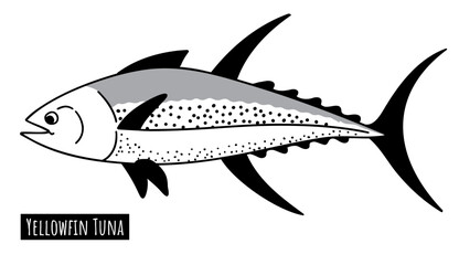 Yellowfin tuna fish isolated on white