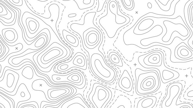 Relief topographic map of the area with high-level contour contours and geodetic grid. Abstract vectror line background isolated on white.