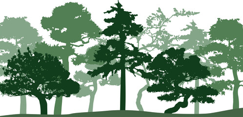 Green silhouette of trees. Isolated on vhite background.