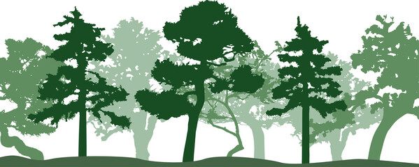 Green silhouette of trees. Isolated on vhite background.