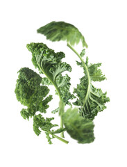 Isolated of flying green kale leaves