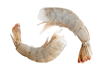 Fresh white shrimps isolated on white background