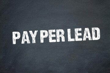 pay per lead	