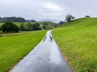Fototapeta na wymiar The path in the meadow leading to the farmhouse