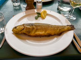 Trout from the river Sihl in Switzerland