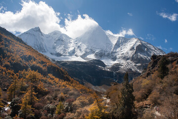 Fototapeta premium pasture and mountain in Yading nature reserve