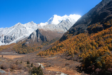 pasture and mountain in Yading nature reserve