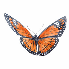 Fototapeta na wymiar Beautiful clip art image with cute watercolor butterflies. Stock illustration.