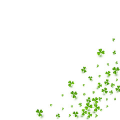 Fototapeta premium Green Clover Holiday Vector White Background.