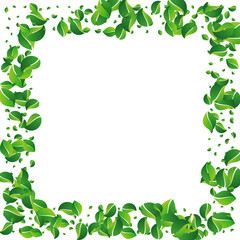 Olive Greens Transparent Vector White Background.