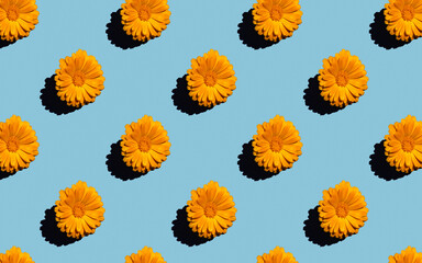 Abstract floral aesthetic background. Colourful flower buds on blue background. Beautiful flowers template. Seamless floral pattern with orange flowers, minimal print for card or wrapping paper