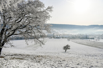 Obraz na płótnie Canvas Mariastein, Kloster, Winter, Winterlandschaft, Dorf, Landwirtschaft, Felder, Wanderweg, Klosterkirche, Metzerlen-Mariastein, Schnee, Eis, Nebel, Winterspaziergang, Schweiz