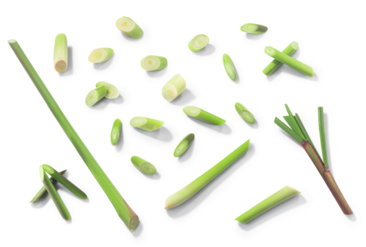 Lemongrass (Cymbopogon citratus), cut stems isolated png,  top view