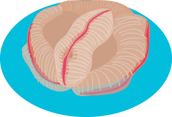 Soft coral icon isometric vector. Exotic coral in transparent marine water icon. Undersea world, invertebrate
