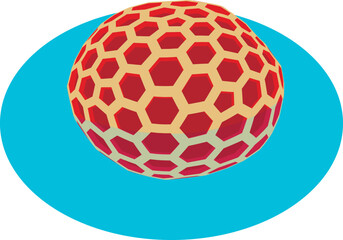 Round coral icon isometric vector. Round red exotic coral in marine water icon. Undersea world, invertebrate