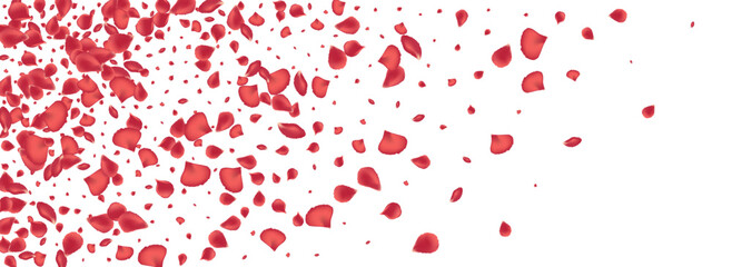 Beautiful Floral Flying Vector Panoramic White