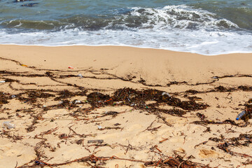 Garbage on sea sand beach, unsorted rubbish, plastic bags, glass bottle, metal can, trash, refuse pile, litter, dirty ocean water, environmental pollution, ecological problem concept, waste management