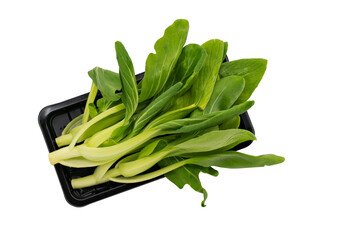 Young fresh Pak Chai or Green Pakchoi or Bok Choy in black plastic tray for sale, flat lay organic vegetable, isolated image on white background.