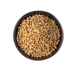 Coriander seeds in black bowl isolated on transparent png
