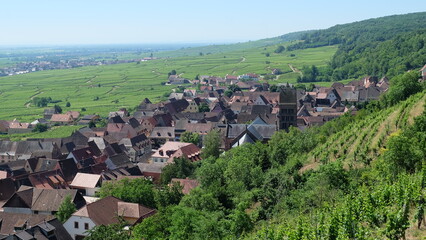 Fototapeta na wymiar Vogesen Rheinebene Dorf am Hang mit Weinreben