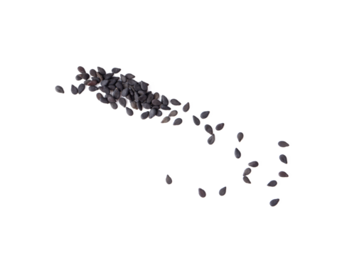 black sesame isolated on transparent png