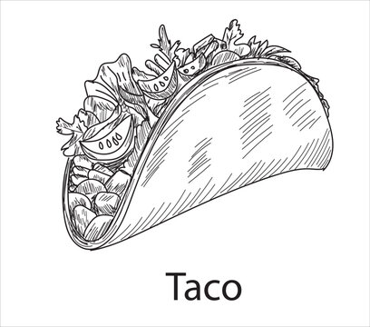 Taco mexican food vector. Best Mexican Dishes. Latin american food illustration.