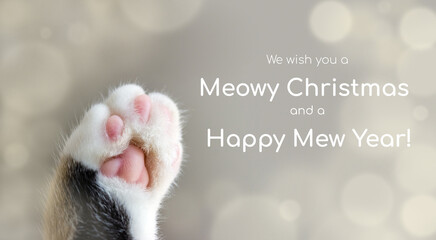 Cat's paw extreme closeup and quote We wish you a Meowy Christmas and a Happy Mew Year. Greeting card for pet product manufacturers or veterinary clinics and stores. Selective focus