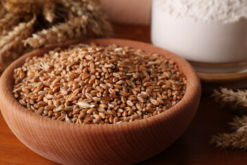 Wheat grains in bowl and spikes on wooden table, closeup