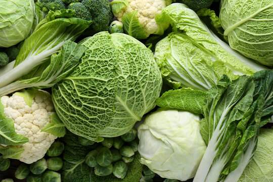 Many different types of fresh cabbage as background, top view