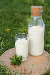 Glass and bottle of milk on wooden board outdoors