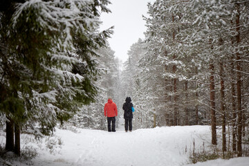 Fototapeta na wymiar A couple walking in a snowy forest during a snowfall, beautiful winter mixed forest, selective focus