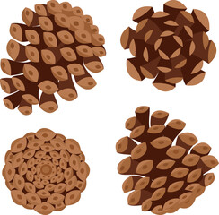 Christmas tree cones set, view from different sides on a white.