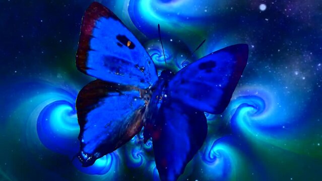 Butterfly in abstract fractal space